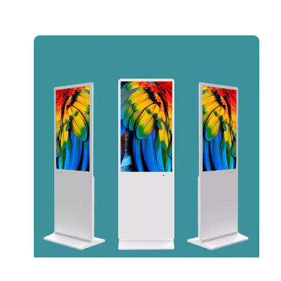 comprar Tamaño del panel 49 pulgadas pantalla táctil Quiosco de información con panel de vidrio endurecido online manufacture